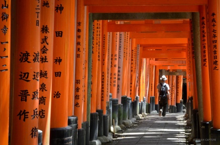 Day 155 | Fushimi Inari-taisha Shrine, Kyoto, Japan